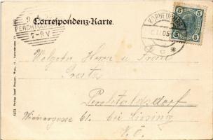 1905 Korneuburg, Hauptplatz / main square, town hall, market (fl)