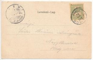 1902 Szliács, Sliac; Szecessziós erdős litho keret / Art Nouveau, forest litho