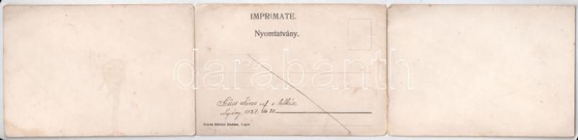 Lugos, Lugoj; Három részes kinyitható panorámalap / 3-tiled folding panoramacard (hajtásnál szakadt ...