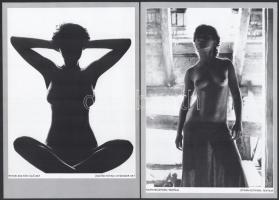 Akt-mappa 1984. Vál.: Győri Lajos. Bp., Idegenforgalmi és Propaganda Kiadó Vállalat, 27 t. (hiányos)...