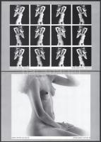 Akt-mappa 1984. Vál.: Győri Lajos. Bp., Idegenforgalmi és Propaganda Kiadó Vállalat, 27 t. (hiányos)...