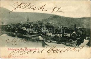 1903 Neckargemünd, Totalansicht (EK)