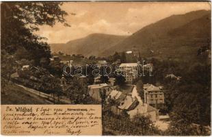 1904 Bad Wildbad, Kernerstrasse / street view, villa (EK)