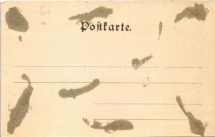 Ramsau am Dachstein (Steiermark), general view (glue marks)