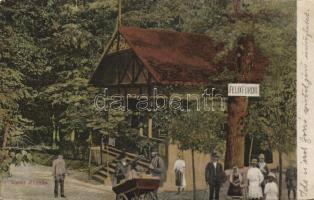 Félixfürdő railway station