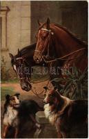 Horses with dogs. T.S.N. Serie 1543. s: Reichert