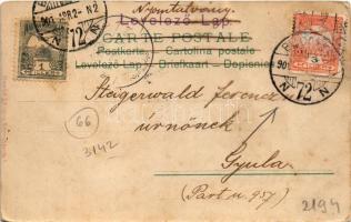 1901 Easter greeting art postcard, rabbit eggs. litho (fl)