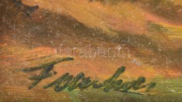 Farkas Gyula (1946-) Szegedi látkép. Olaj, farost, jelzett, keretben 38x27 cm