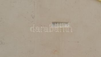 AATOTH Franyó Tóth István Ferenc (1954- ) Falikép - Fácán. Színesen festett porcelán. Jelezve: Frany...