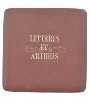 Ausztria 1955. "Tudományokért és Művészetekért Érdemkereszt" aranyozott, zománcozott bronz...