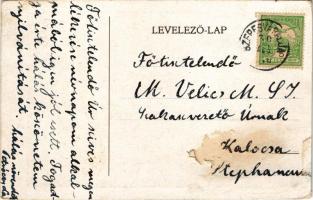 Petróc, Garancspetróc, Granc-Petrovce; Petróczy nyaraló. Herbst S. felvétele / villa (szakadás / tea...