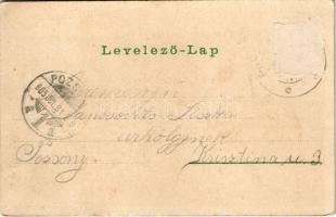 1905 Borostyánkő, Pajstún (Pozsonyborostyánkő, Borinka); Üdvözlet Máriavölgyről, várrom este. Ferd. ...