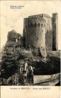 1913 Erdőd, Erdut; Rusevina u Erdutu / Ruine in Erdőd / vár. Atelier Danica Fotograf A. Beisman / castle ruins