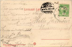 1909 Dárda, Schaumburg-Lippe György hercegi kastély és park. Arady Lajos kiadása / castle and park (...