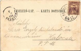 1900 Károlyváros, Karlovac; Predgradje Dubovac / Dobóc vára / castle + "FIUME-ZÁGRÁB 64. SZ.&qu...
