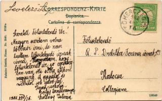 1908 Abbazia, Opatija; Hotel Palace. Federico Cretich No. 2540