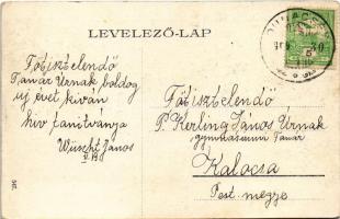 1909 Dunacséb, Dunaczéb, Celarevo; községháza (?) / town hall (?)