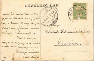 1906 Nagykikinda, Kikinda; Városház, Angner A. m. kir. dohány nagy és különlegességi áruda, Pentz Mi...