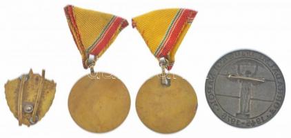 ~1960-1970. "Tanintézeti Bajnokság" zománcozott fém jelvény (~36x32mm) + 1965. "Szolg...