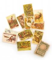 cca 1957 Állatvilág, 35 db képes kártya (egy lap hiány), Játékkártyagyár és Nyomda Bp., sérült kiadói papírtokban, 11x8 cm