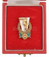 ~1960. "Testnevelés és Sport Kiváló Dolgozója" aranyozott, zománcozott fém jelvény, eredet...