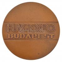 1981. "Hungexpo Budapest - Tavaszi Budapesti Nemzetközi Vásár 1981" bronz emlékérem (70mm)...