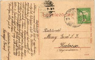 1909 Topolya, Bácstopolya, Backa Topola; Gróf Zichy János utca, községháza. Wilheim Miksa kiadása 60...