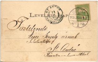 1905 Újvidék, Novi Sad; Futtaki utca / street (EK)