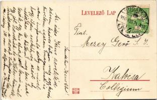 1910 Újvidék, Novi Sad; Péterváradi vasúti alagút. Singer József kiadása / Eisenbahntunel in Peterwa...