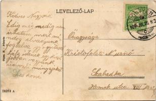 1909 Pöstyén, Piestany; fürdő sziget. Gipsz H. kiadása / Bade Insel / spa island (fl)