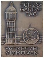 ~1970-1980. Törzsgárdatag - Vasmegyei Vízművek egyoldalas ezüstpatinázott bronz plakett (81x61mm) T:2