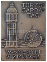 ~1970-1980. &quot;Törzsgárdatag - Vasmegyei Vízművek&quot; egyoldalas ezüstpatinázott bronz plakett (81x61mm) T:2