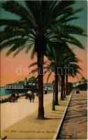 Nice, Nizza; Les palmiers du quai des Etats-Unis (EK)