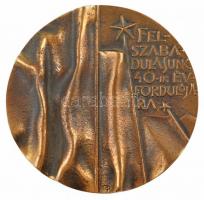 1985. Felszabadulásunk 40. évfordulójára egyoldalas, öntött bronz emlékérem. Szign.: SZP? (98mm) T:1-