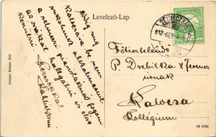 1912 Selmecbánya, Schemnitz, Banská Stiavnica; Villatelep. Joerges 1910. / villa alley