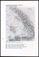 Szabó József János: Felirat egy tömegsírra. Székesfehérvári katonák tömegsírja Gyergyószentmiklós. S...