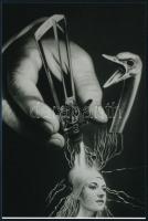cca 1938 Ismeretlen alkotó kollázsáról, fotórealisztikus stílusban, vászonra készült olajfestmény fotó másolata, 15x10 cm