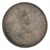 1896KB 1K Ag "Millenium" T:2 patina Adamo K5.2