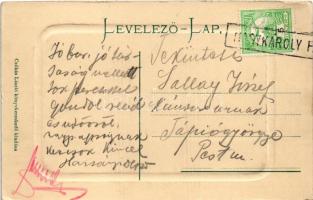 Nagykároly, Carei; Gróf Károly kastély. Csókás László kiadása / castle