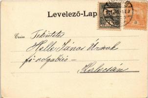 1901 Érsekújvár, Nové Zámky; Kossuth Lajos tér, Szálló az Arany Oroszlánhoz, bor és sör mérés, Adler...