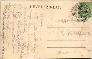 1911 Lucski-fürdő, Lúcky Kúpele (Liptó); Mariska lak. Sochán P. 261. 1911. / spa villa