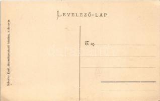 Keresd, Cris, Kreis; várrom. Schuster Emil kiadása / castle ruins