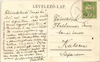 1910 Vöröstorony, Rothenturm, Turnu Rosu, Porcsesd; út, Olt folyópart. Graef Károly kiadása / road, ...