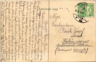 1912 Temesvár, Timisoara; Bega részlet, merítős halászháló / riverside with fishing net (EK)