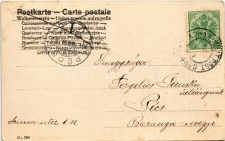 1904 Boldog Újévet! / New Year greeting art postcard with lady, horseshoe and mushroom (fl)