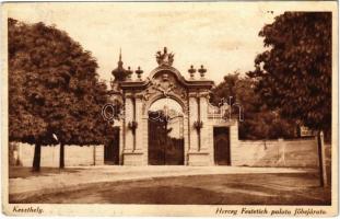 Keszthely, Herceg Festetics palota főbejárata (felületi sérülés / surface damage)