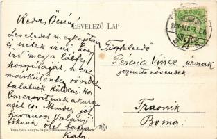 1908 Temesvár, Timisoara; Jenő herceg tér, piac, Rukavina műemlék, temesi Agrár takarékpénztár, Turu...