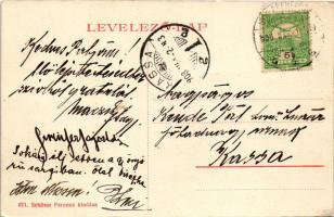 1908 Gyulafehérvár, Karlsburg, Alba Iulia; Hungária szálloda, piac. Schäser Ferenc kiadása / hotel, ...