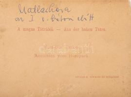 cca 1890-1900 Magastátra (Vysoké Tatry), Matlárháza, Husz-féle díszkert, keményhátú fotó, Divald Kár...