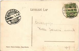 1906 Nagykároly, Carei; Gróf Károly kastély. Eigner Simon kiadása / castle (EK)